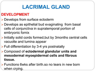 LACRIMAL GLAND
DEVELOPMENT
 Develops from surface ectoderm
 Develops as epithelial bud evaginating from basal
cells of conjunctiva in supratemporal portion of
embryonic fornix
 Initially solid cords formed,but by 3months central cells
vacuolte and lumina appear
 Full differentiation by 3-4 yrs postnatally
 Composed of ectodermal glandular units and
mesodermal myoepidermal cells and fibrous
tissue.
 Functions 6wks after birth.so no tears in new born
when crying.
 