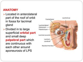 ANATOMY
 Located in anterolateral
part of the roof of orbit
in fossa for lacrimal
gland
 Divided in to large
superficial orbital part
and small deep
palpebral part which
are continuous with
each other around
aponeurosis of LPS
 