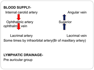 BLOOD SUPPLY-
Internal carotid artery Angular vein
Ophthalmic artery Superior
ophthalmic vein
Lacrimal artery Lacrimal vein
Some times by infraorbital artery(Br of maxillary artery)
LYMPHATIC DRAINAGE-
Pre auricular group
 