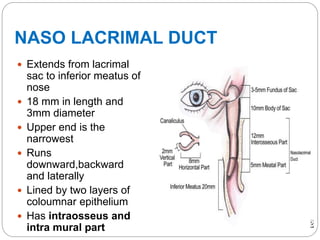  Extends from lacrimal
sac to inferior meatus of
nose
 18 mm in length and
3mm diameter
 Upper end is the
narrowest
 Runs
downward,backward
and laterally
 Lined by two layers of
coloumnar epithelium
 Has intraosseus and
intra mural part
NASO LACRIMAL DUCT
 