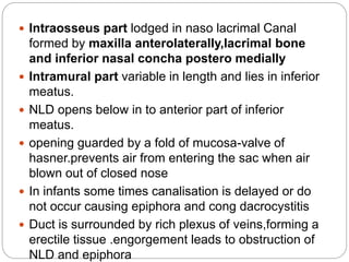  Intraosseus part lodged in naso lacrimal Canal
formed by maxilla anterolaterally,lacrimal bone
and inferior nasal concha postero medially
 Intramural part variable in length and lies in inferior
meatus.
 NLD opens below in to anterior part of inferior
meatus.
 opening guarded by a fold of mucosa-valve of
hasner.prevents air from entering the sac when air
blown out of closed nose
 In infants some times canalisation is delayed or do
not occur causing epiphora and cong dacrocystitis
 Duct is surrounded by rich plexus of veins,forming a
erectile tissue .engorgement leads to obstruction of
NLD and epiphora
 