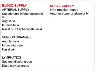 BLOOD SUPPLY
ARTERIAL SUPPLY
Superior and inferior palpebral
A.
Angular A.
Infraorbital A.
Nasal br. Of sphenopalatine A.
VENOUS DRIANAGE
Angular vein
Infraorbital vein
Nasal vein
LYMPHATICS
Sub mandibular group
Deep cervical group
NERVE SUPPLY
Infra trochlear nerve
Anterior superior alveolar N.
 