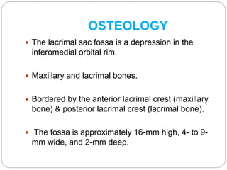 OSTEOLOGY
 The lacrimal sac fossa is a depression in the
inferomedial orbital rim,
 Maxillary and lacrimal bones.
 Bordered by the anterior lacrimal crest (maxillary
bone) & posterior lacrimal crest (lacrimal bone).
 The fossa is approximately 16-mm high, 4- to 9-
mm wide, and 2-mm deep.
 