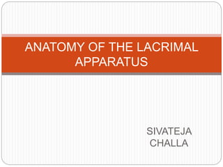 SIVATEJA
CHALLA
ANATOMY OF THE LACRIMAL
APPARATUS
 
