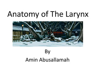 Anatomy of The Larynx



           By
    Amin Abusallamah
 