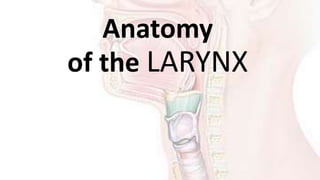Anatomy
of the LARYNX
 