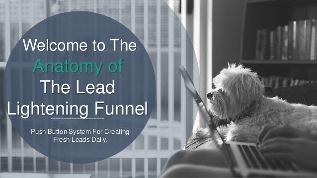 anatomy of the lead lightning funnel