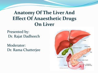 Anatomy Of The Liver And
   Effect Of Anaesthetic Drugs
             On Liver
Presented by:
Dr. Rajat Dadheech

Moderator:
Dr. Rama Chatterjee
 