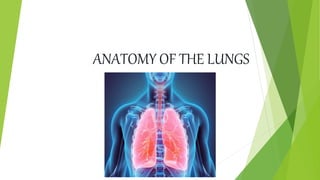 ANATOMY OF THE LUNGS
 