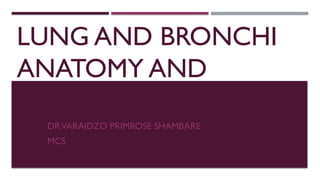 Lung,bronchi anatomy and physiology.pptx