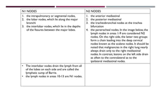 N2 Node Lung,bronchi anatomy and physiology.pptx
