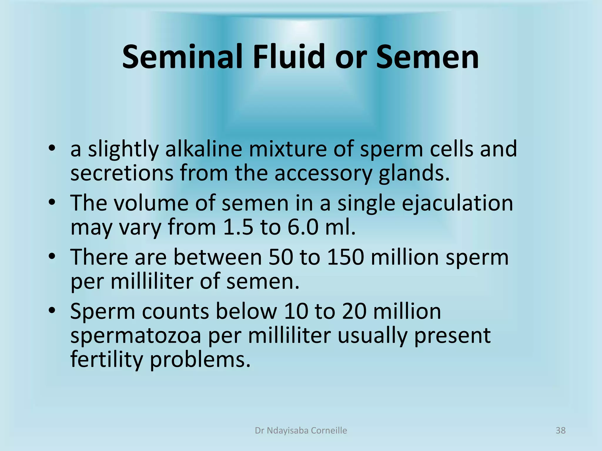 The Ultimate Guide To Male External Genitalia: Labels & More - ruork1x