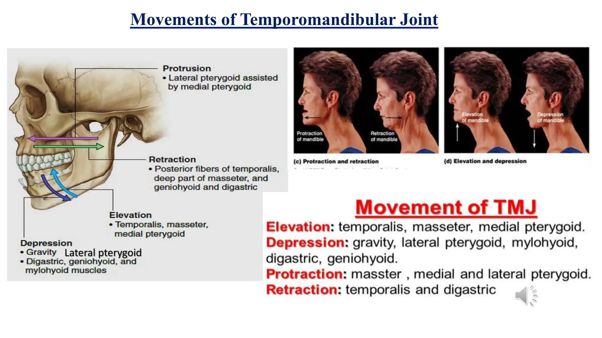 Anatomy of the mandible, TMJ & Muscles.ppsx