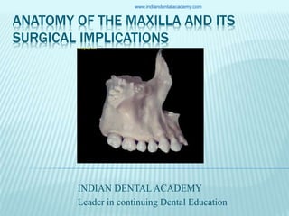ANATOMY OF THE MAXILLA AND ITS
SURGICAL IMPLICATIONS
INDIAN DENTAL ACADEMY
Leader in continuing Dental Education
www.indiandentalacademy.com
 