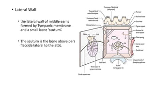 Comprehensive Anatomy and Embryology of the Middle Ear Cleft | PPTX