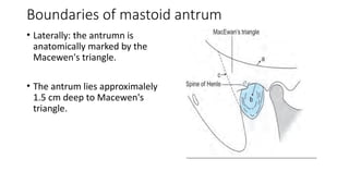 Comprehensive Anatomy and Embryology of the Middle Ear Cleft | PPTX