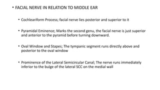 Pyramidal Prominence Comprehensive Anatomy and Embryology of the Middle Ear Cleft | PPTX