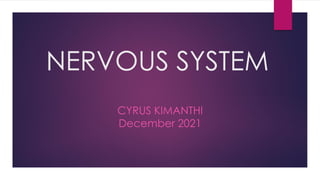 NERVOUS SYSTEM
CYRUS KIMANTHI
December 2021
 