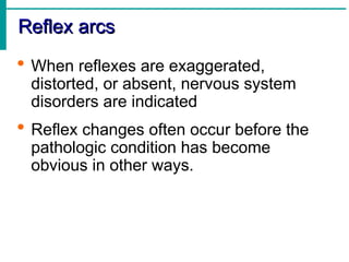 Anatomy of The Nervous System - palnurse.com.ppt