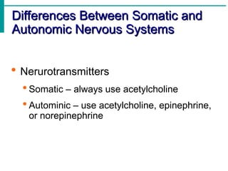 Anatomy of The Nervous System - palnurse.com.ppt
