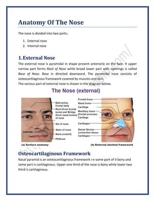 Anatomy Of The Nose
The nose is divided into two parts;
1. External nose
2. Internal nose
1.External Nose
The external nose is pyramidal in shape present anteriorly on the face. It upper
narrow part forms Root of Nose while broad lower part with openings is called
Base of Nose. Base in directed downward. The pyramidal nose consists of
osteocartilaginous framework covered by muscles and skin.
The various part of external nose is shown in the diagram below.
Osteocartilaginous Framework
Nasal pyramid is an osteocartilaginous framework i-e some part of it bony and
some part is cartilaginous. Upper one third of the nose is bony while lower two
third is cartilaginous.
 