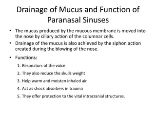 Anatomy of the nose ppt-1.pptx