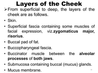 ANATOMY OF THE ORAL CAVITY.pptx