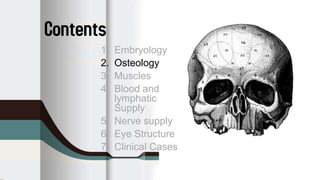 Anatomy of the orbit | PPTX