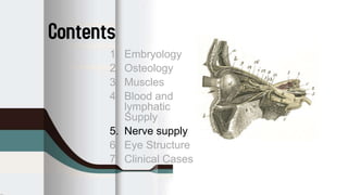 Anatomy of the orbit | PPTX
