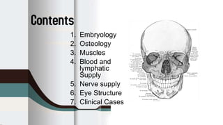 Anatomy of the orbit | PPTX