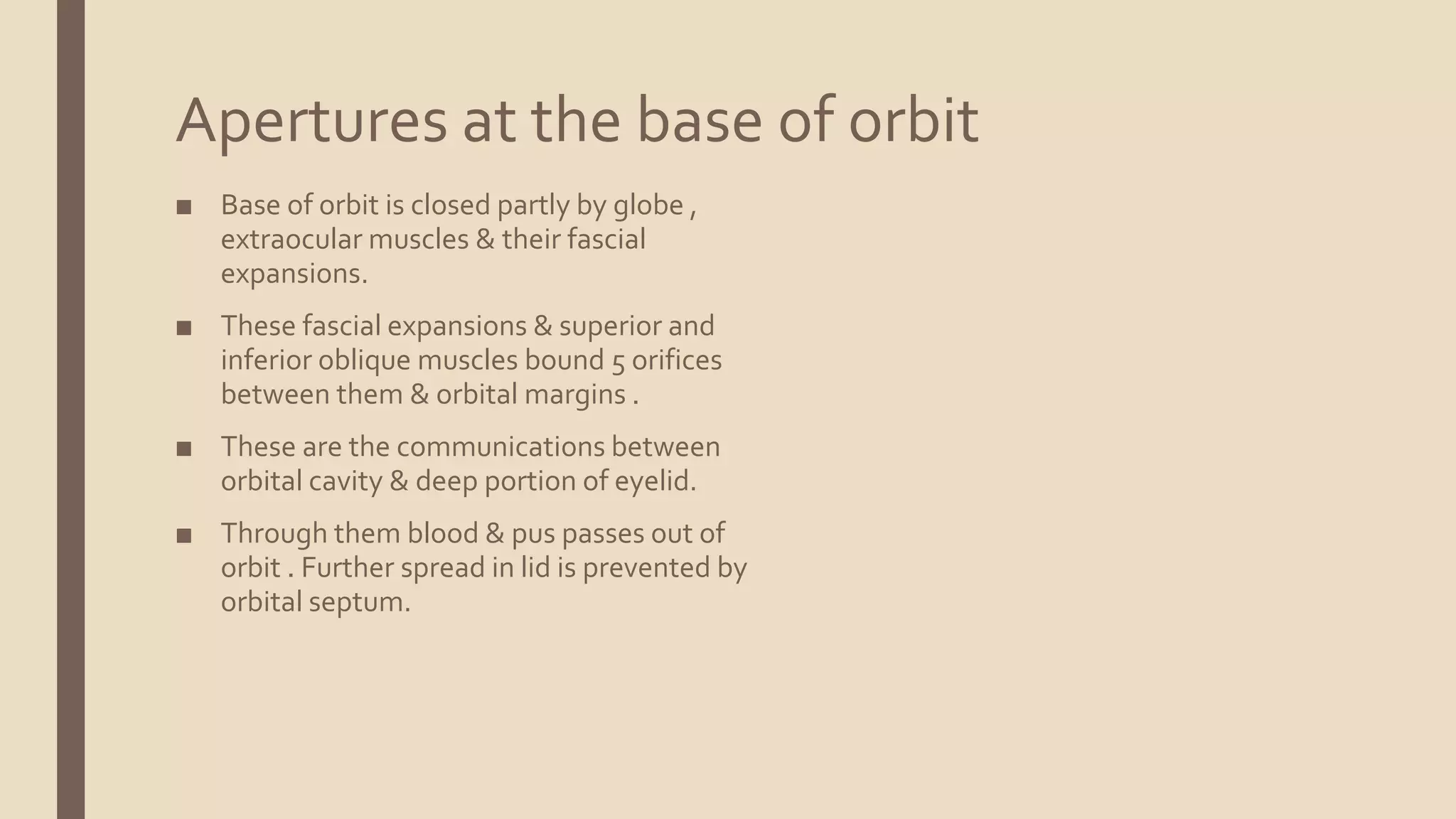 Anatomy of the orbit | PPTX