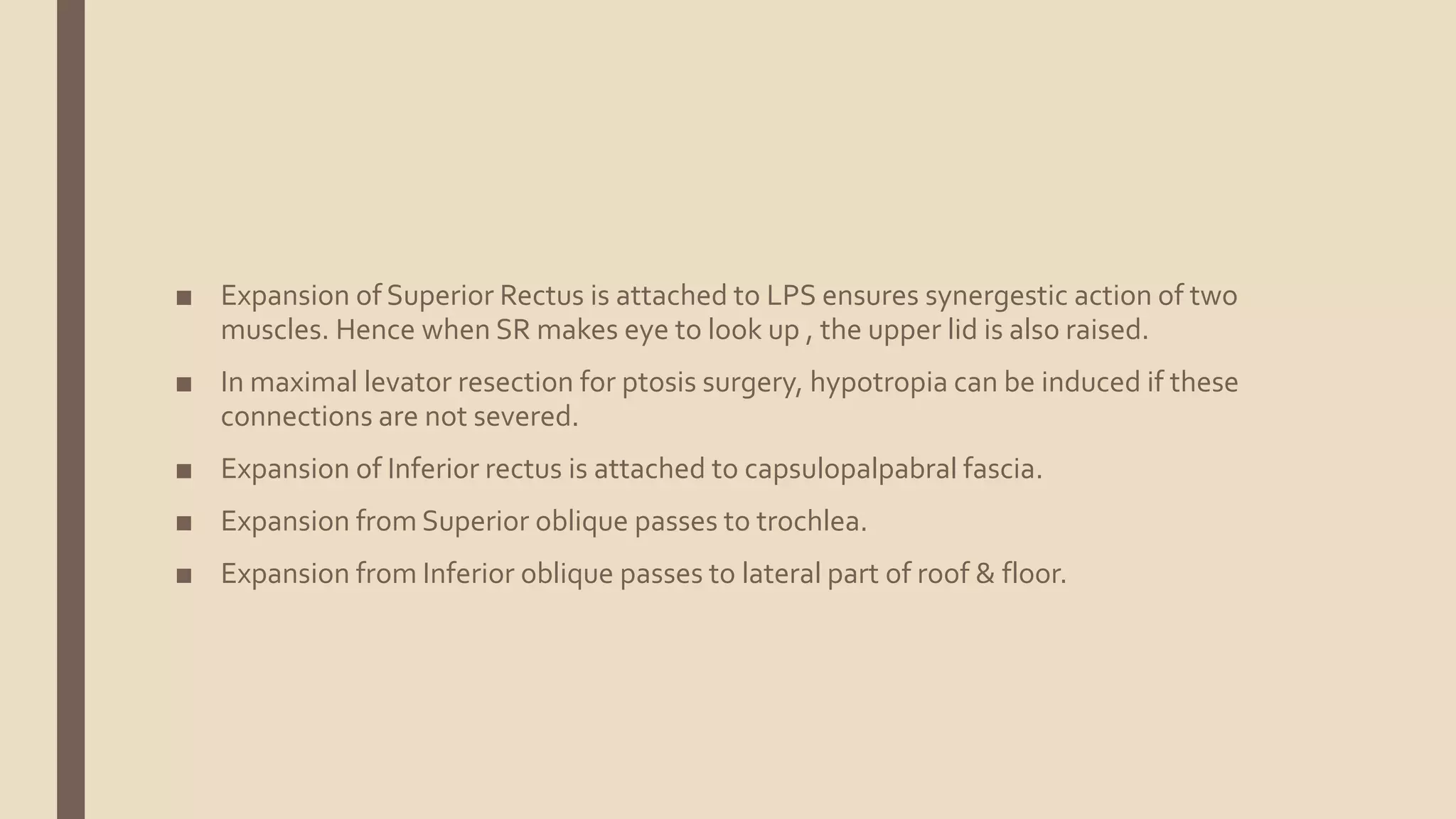 Anatomy of the orbit | PPTX