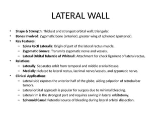 Comprehensive Anatomy and Clinical Insights of the Bony Orbit | PPTX