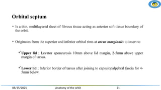 Anatomy of the orbit and some clinical correlation | PPTX