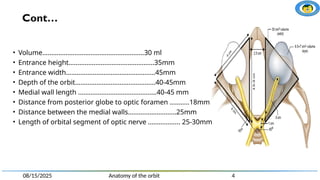Anatomy of the orbit and some clinical correlation | PPTX