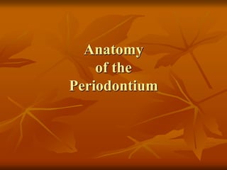 Anatomy
of the
Periodontium
 
