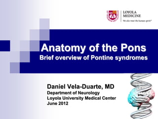 Anatomy of the Pons
Brief overview of Pontine syndromes



  Daniel Vela-Duarte, MD
  Department of Neurology
  Loyola University Medical Center
  June 2012
 