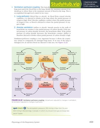 Anatomy Of The Respiratory System | PDF
