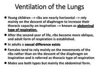 Ventilating Rib Anatomy of the Respiratory system.pptx
