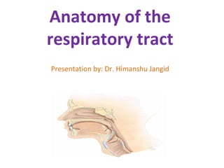 Anatomy of the
respiratory tract
Presentation by: Dr. Himanshu Jangid
 