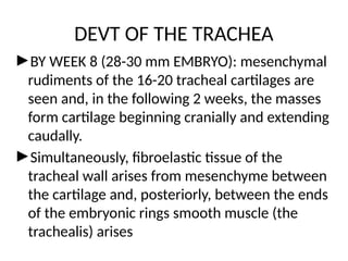 ANATOMY OF THE RESPIRATORY TRACT and clinical applicpptx | PPTX