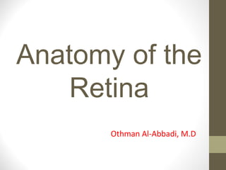 Anatomy of the 
Retina 
Othman Al-Abbadi, M.D 
 