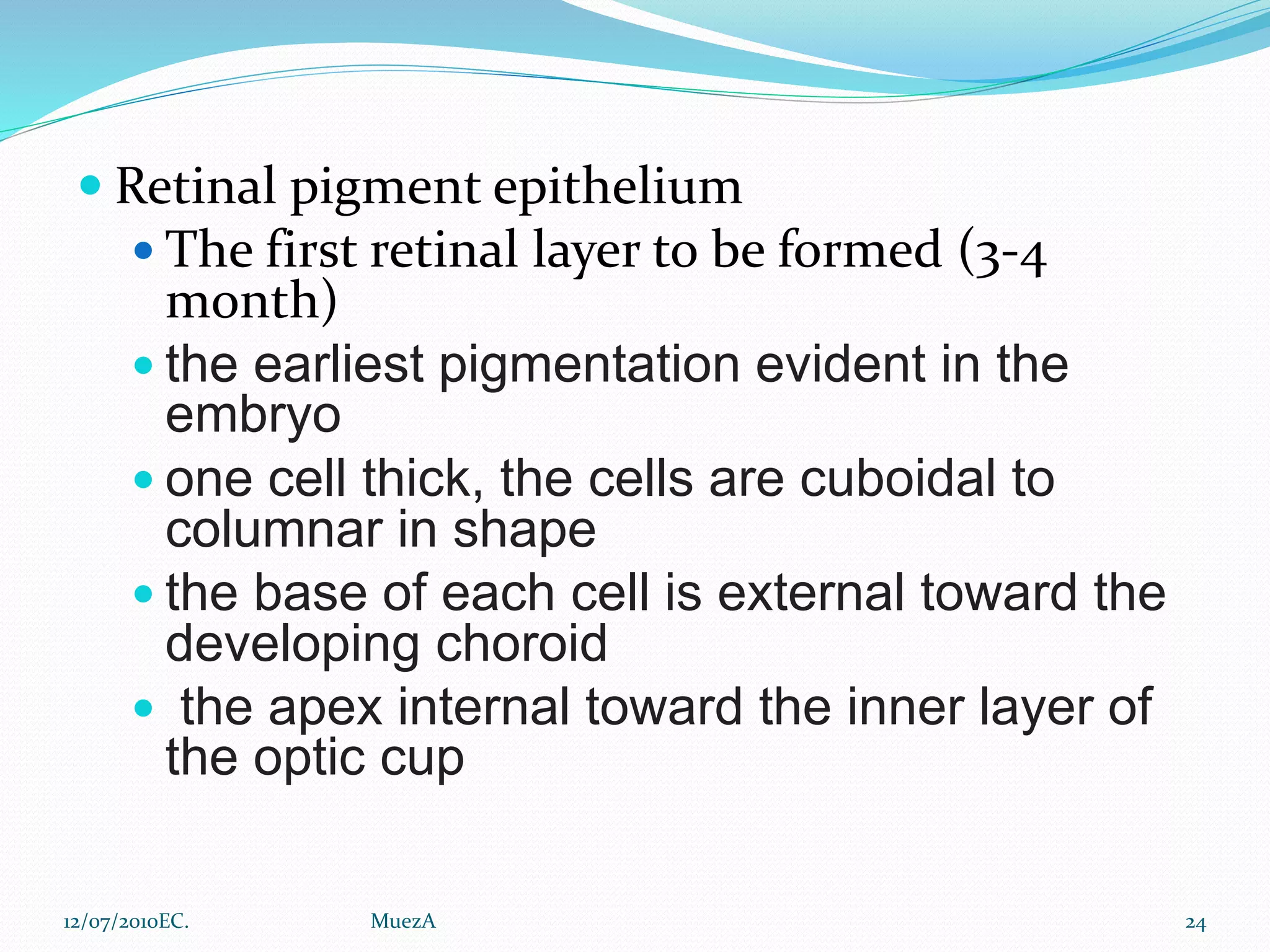Anatomy of the Retina.pptx | Eye and Vision Conditions | Diseases and ...