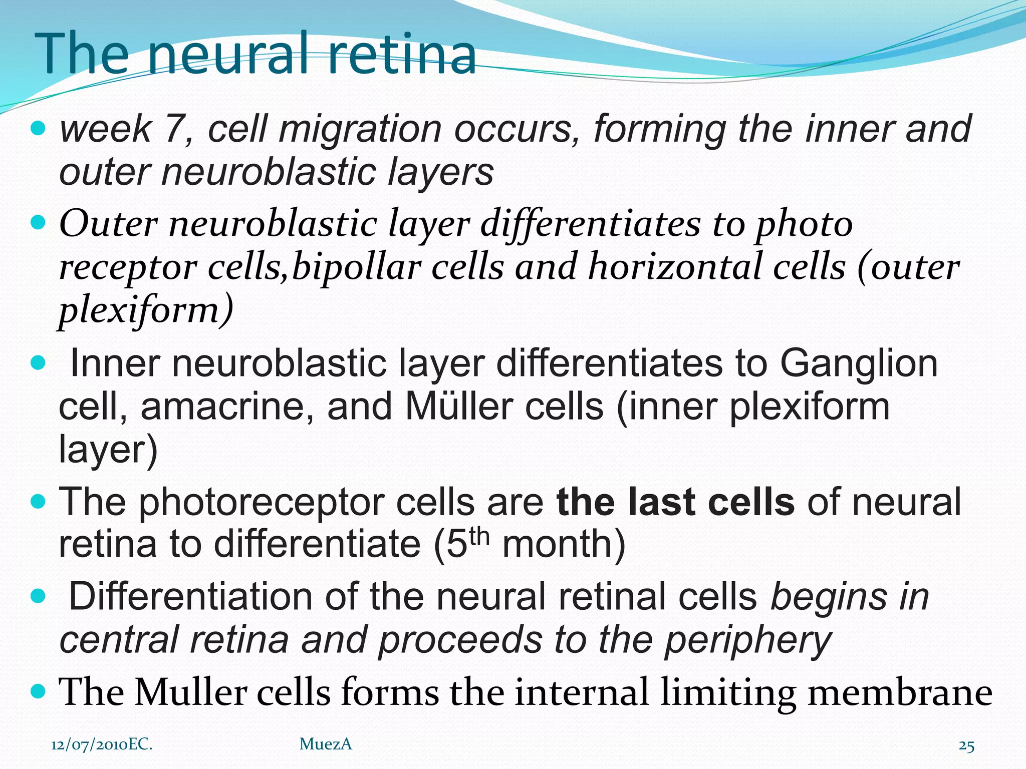 Anatomy of the Retina.pptx | Eye and Vision Conditions | Diseases and ...