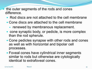 Rod Spherule Anatomy of the Retina.pptx