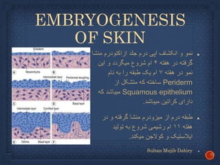 Anatomy of The Skin | PPTX