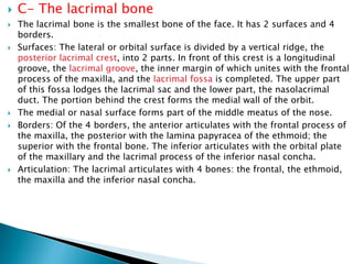 Osteology of the skull. | PDF