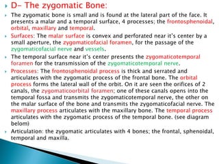 Osteology of the skull. | PDF
