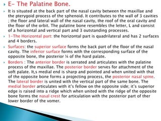 Palatal Letters Osteology of the skull. | PDF