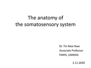 The anatomy of
the somatosensory system
Dr. Tin Moe Nwe
Associate Professor
FMHS, UNIMAS
2.11.2020
 